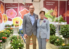 Alexandro Bock and Monerrat Josa of Diem Hibiscus presented their new line, D-Tahiti midi. Special about it this series is that it is suitable for smaller pots, from 10 up to 17 cm. The flowers are midi, 8-10 cm, with smaller leaves, the genetics are compact growing, multi flowering and low use of PGRs. “On top of that, the colors are brilliant and we have almost the all colors available. 9 colors at the moment. They can also be used to make small stems, directly from cuttings. With this series we are filling a gap. In beginning we focused on small and large flowers. Now, we decided, to make smaller pots.“